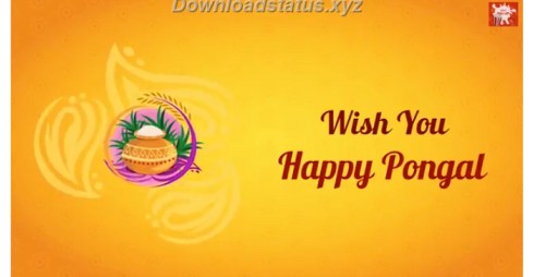Pongal Special Wishes Status Video