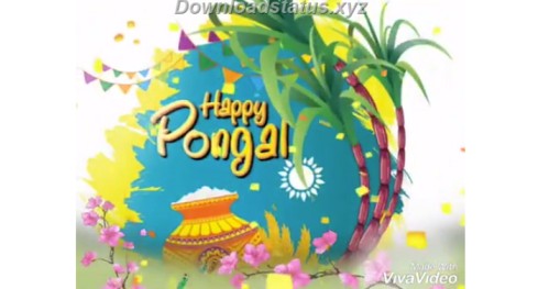 Pongal Wishes Status Video