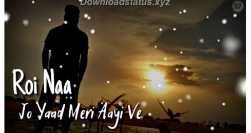 Roi Na Jo Yaad Meri Aayi Ve – Hindi Status Video