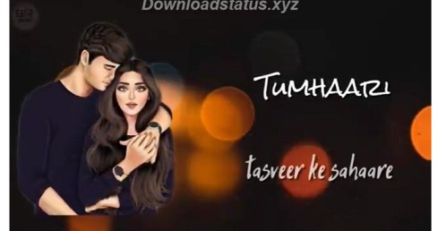 Tumhari Tasveer Se Sahare – Hindi Status Video