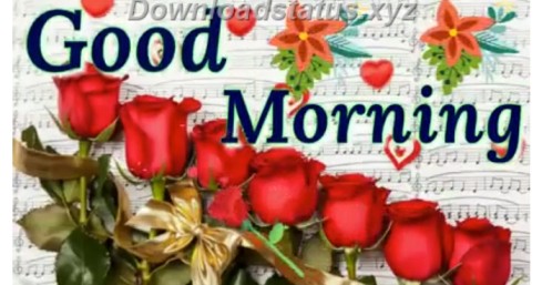 Have A Nice Morning Status Whatsapp Video
