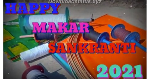 Kite lover Makar Sankranti Festival