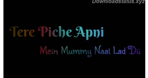 Meri Mummy Nu Pasand Nahiyo Tu – Hindi Status Video