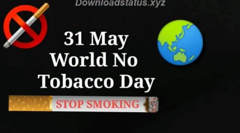 31 May World No Tobacco Day Status