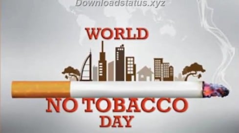 Anti Tobacco Day Whatsapp Status