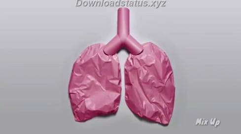 Stop Smoking Start Breathing Video Status Download