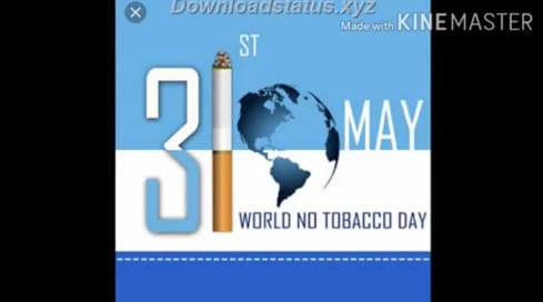 World No Tobacco Day 31 May Whatsapp Status