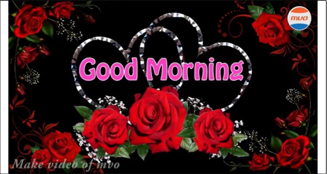 Good Morning Status Video Download - Amazing Good Morning Video