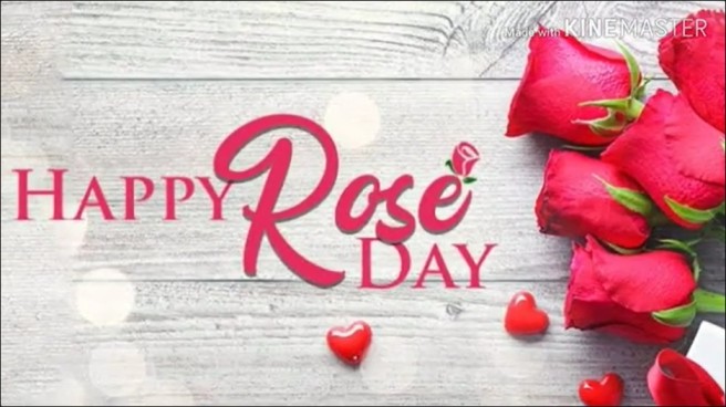 Day Of Love Rose