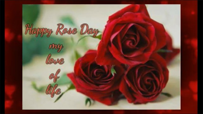 Happy Rose Day My Love & Life