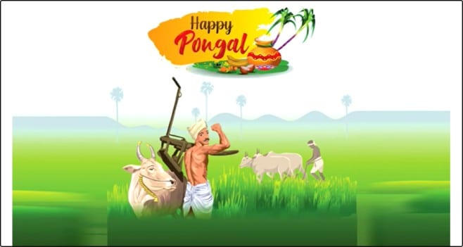 Wishing Everyone Pongal Festival